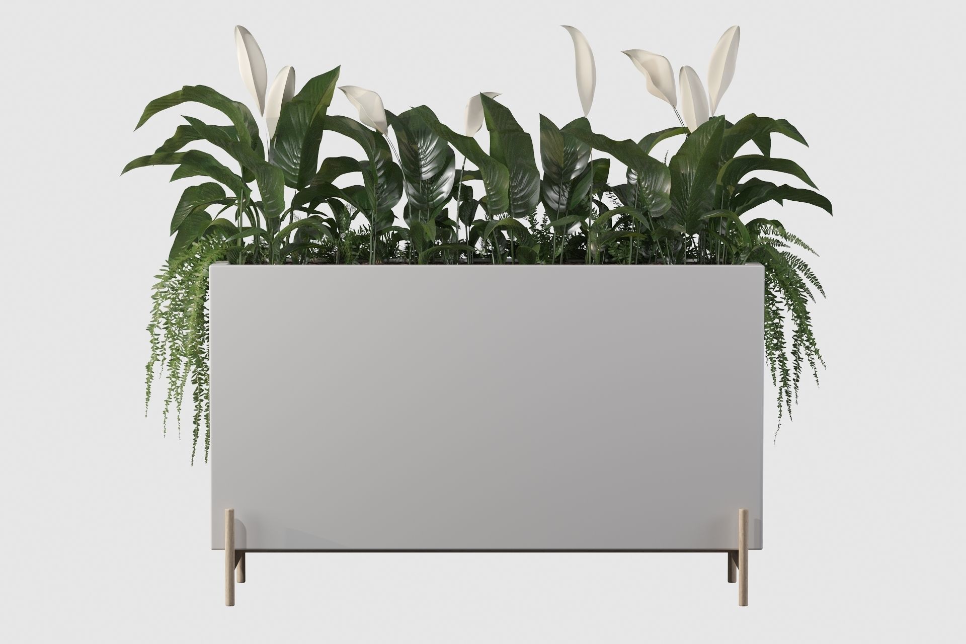 office plants 3D model_27