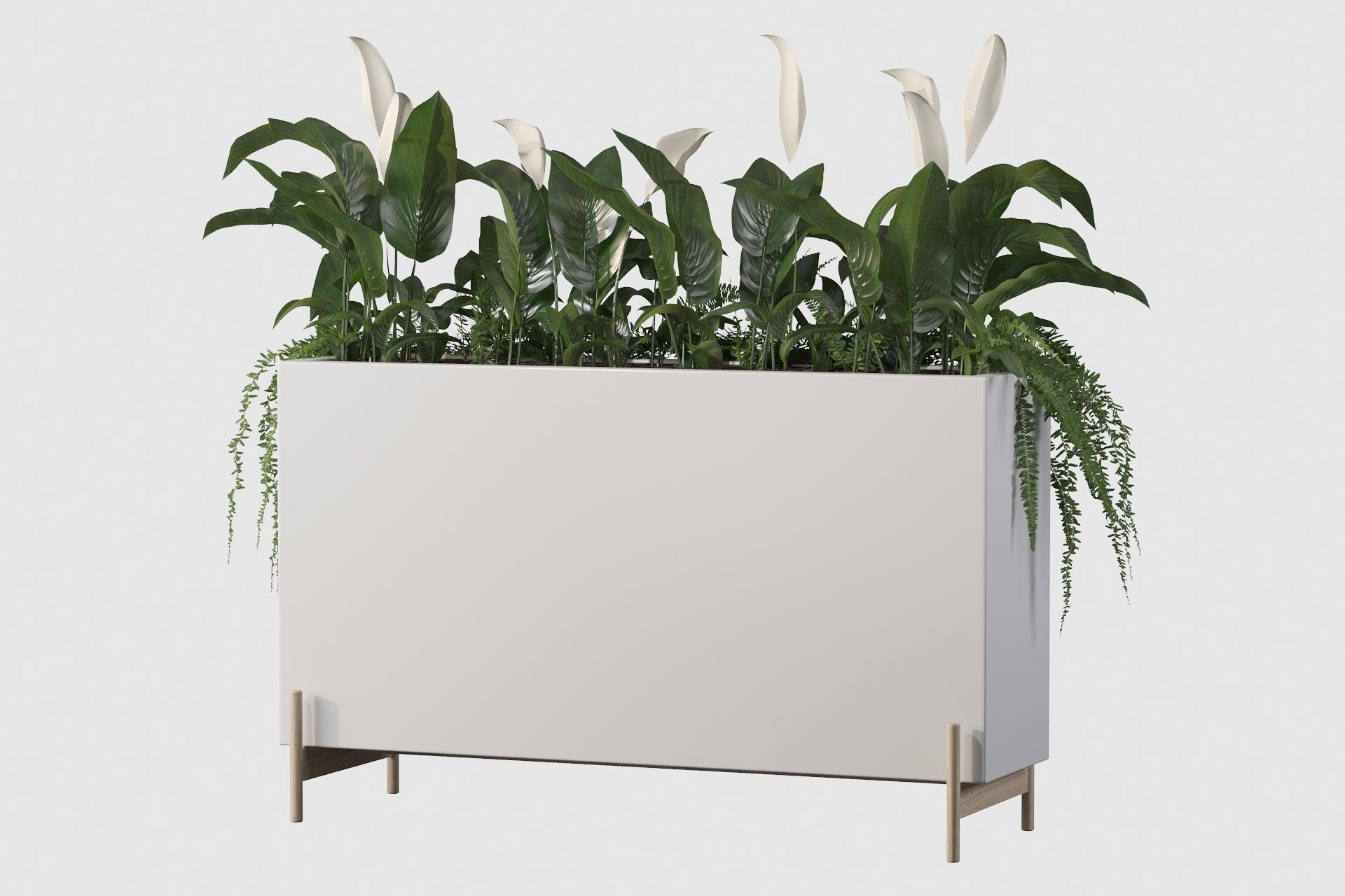 office plants 3D model_29