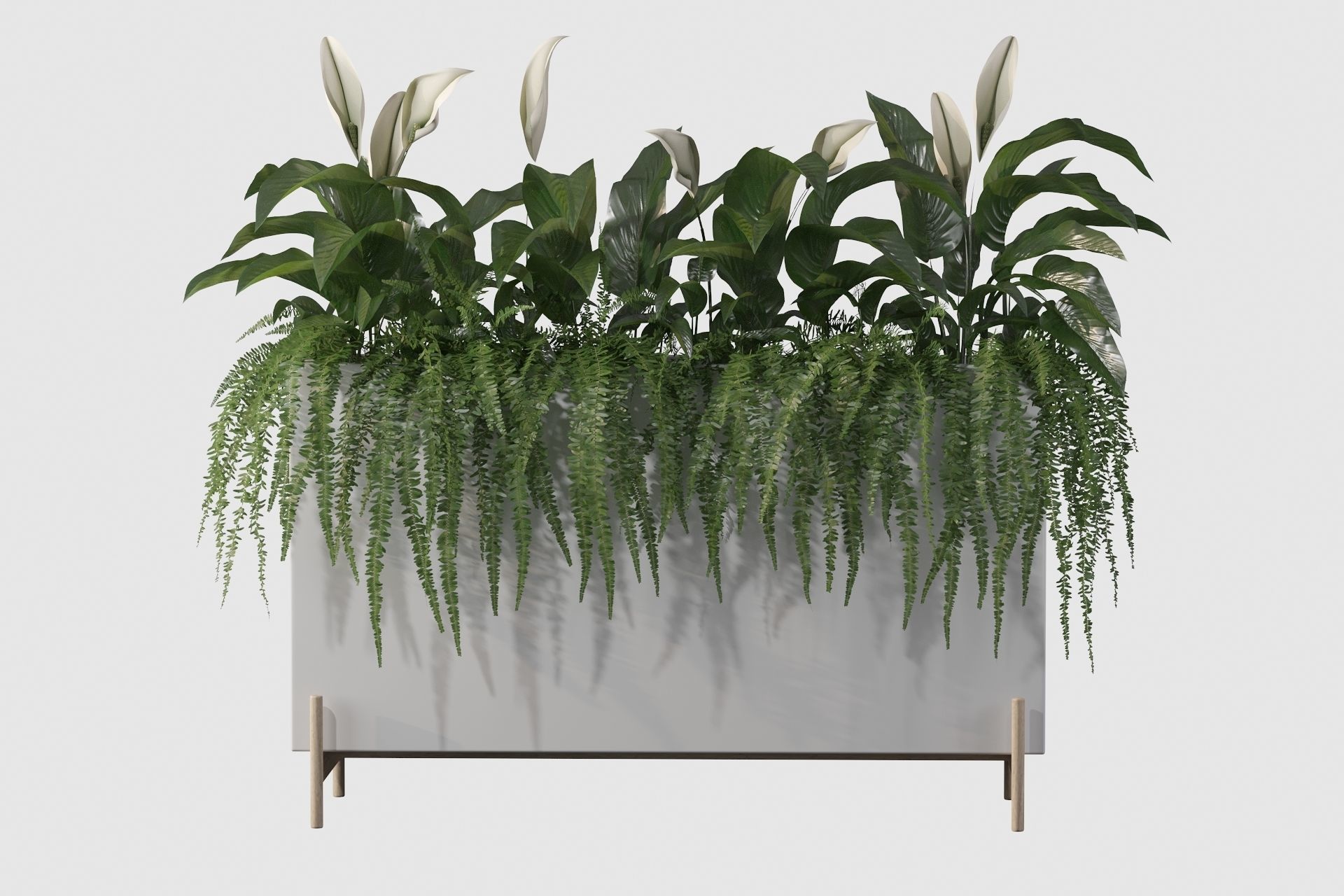 office plants 3D model_43