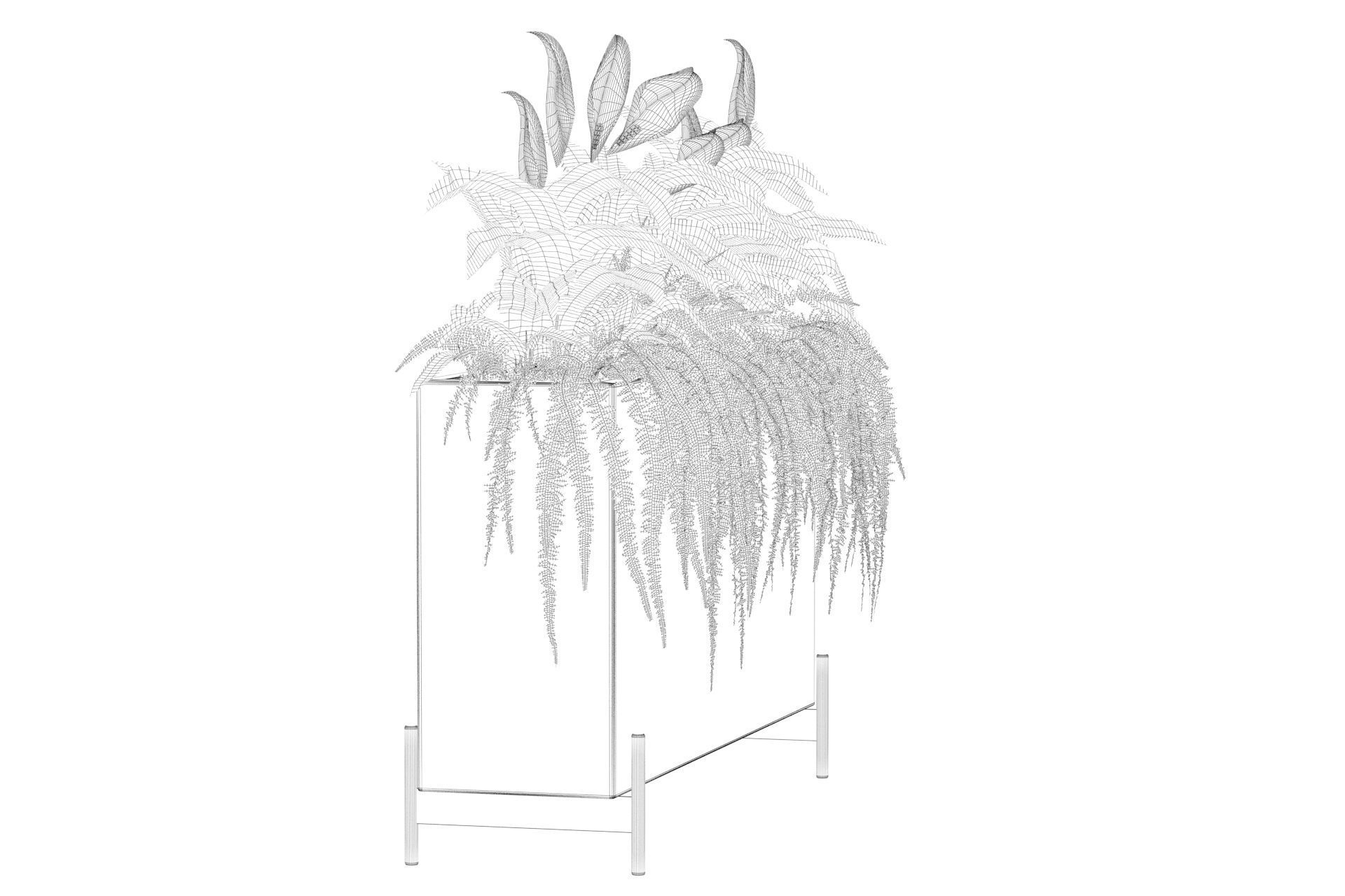 office plants 3D model_46