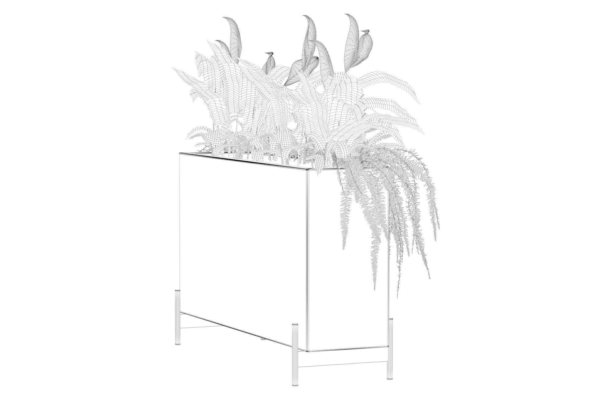 office plants 3D model_48