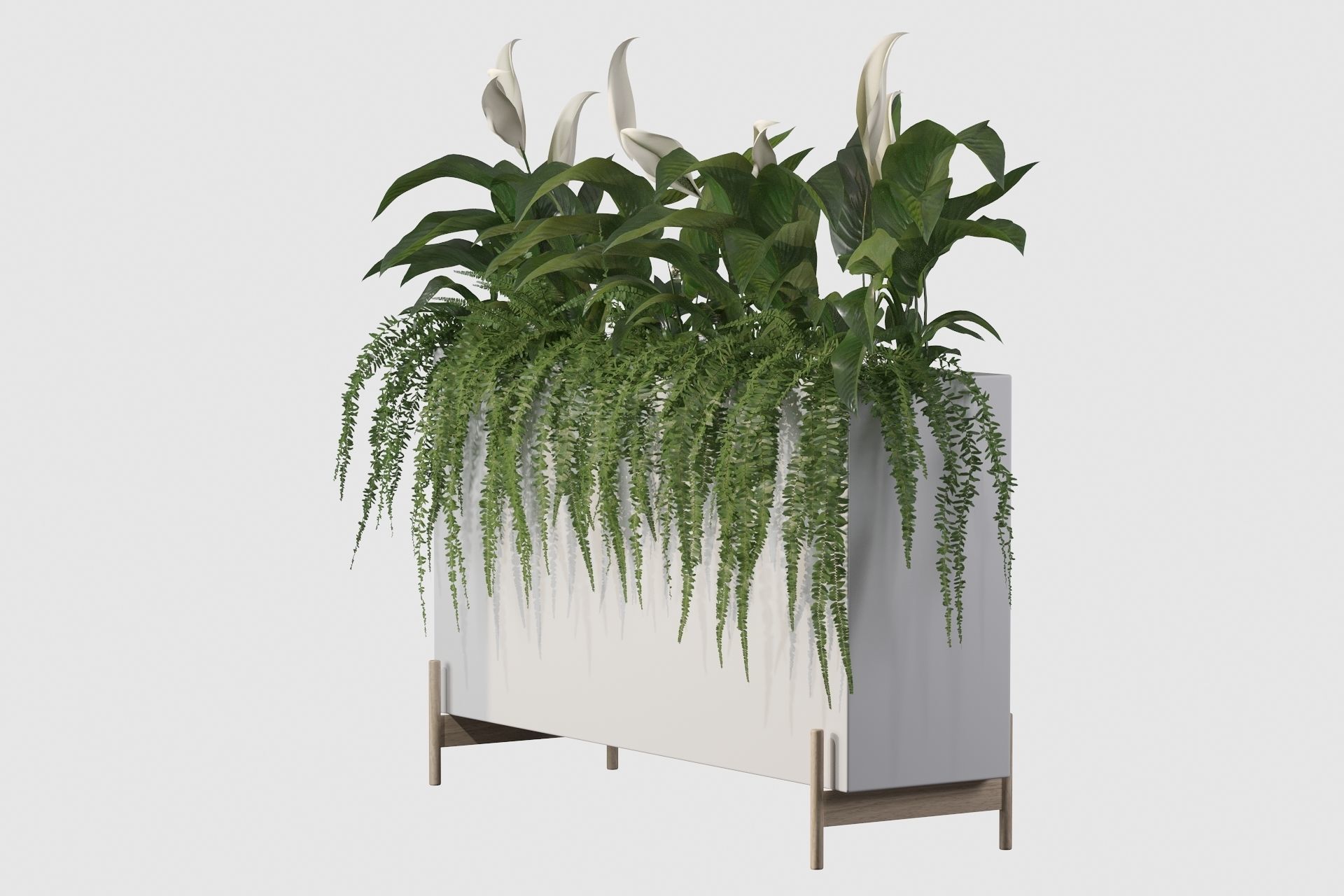 office plants 3D model_38