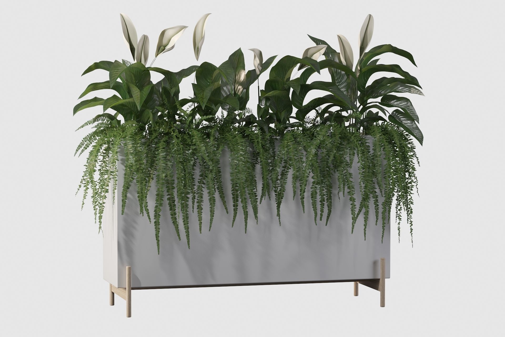 office plants 3D model_20