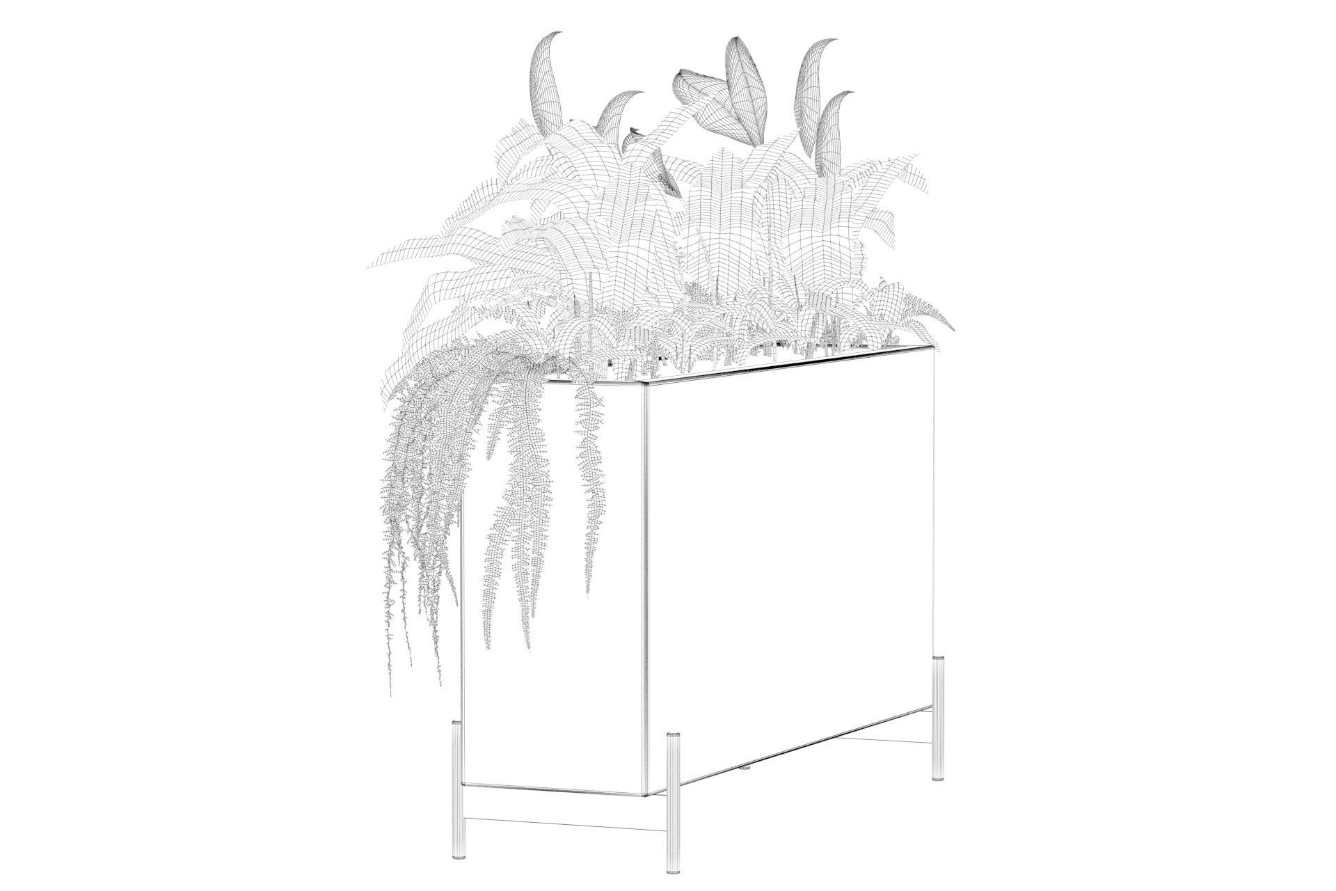 office plants 3D model_54