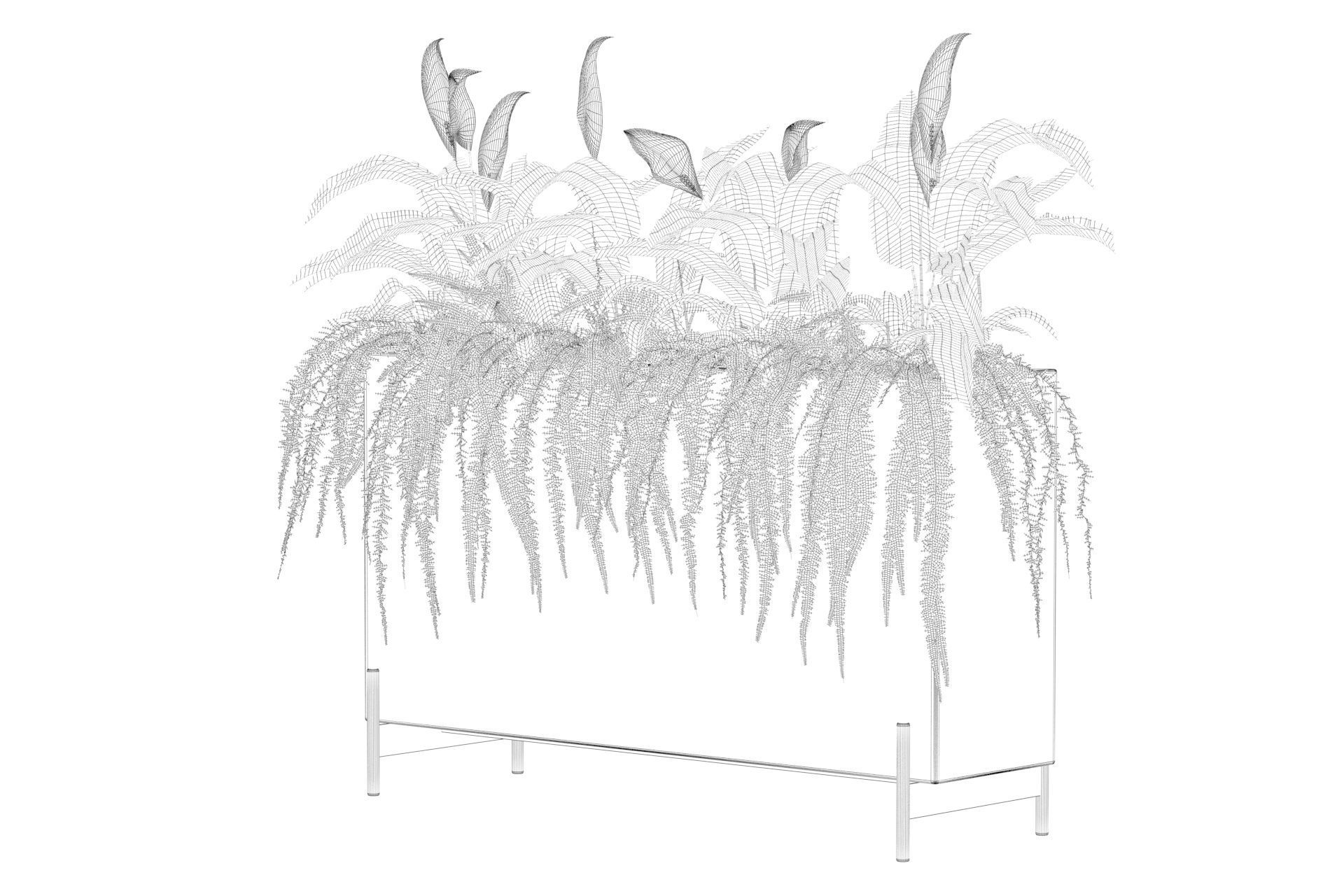 office plants 3D model_56