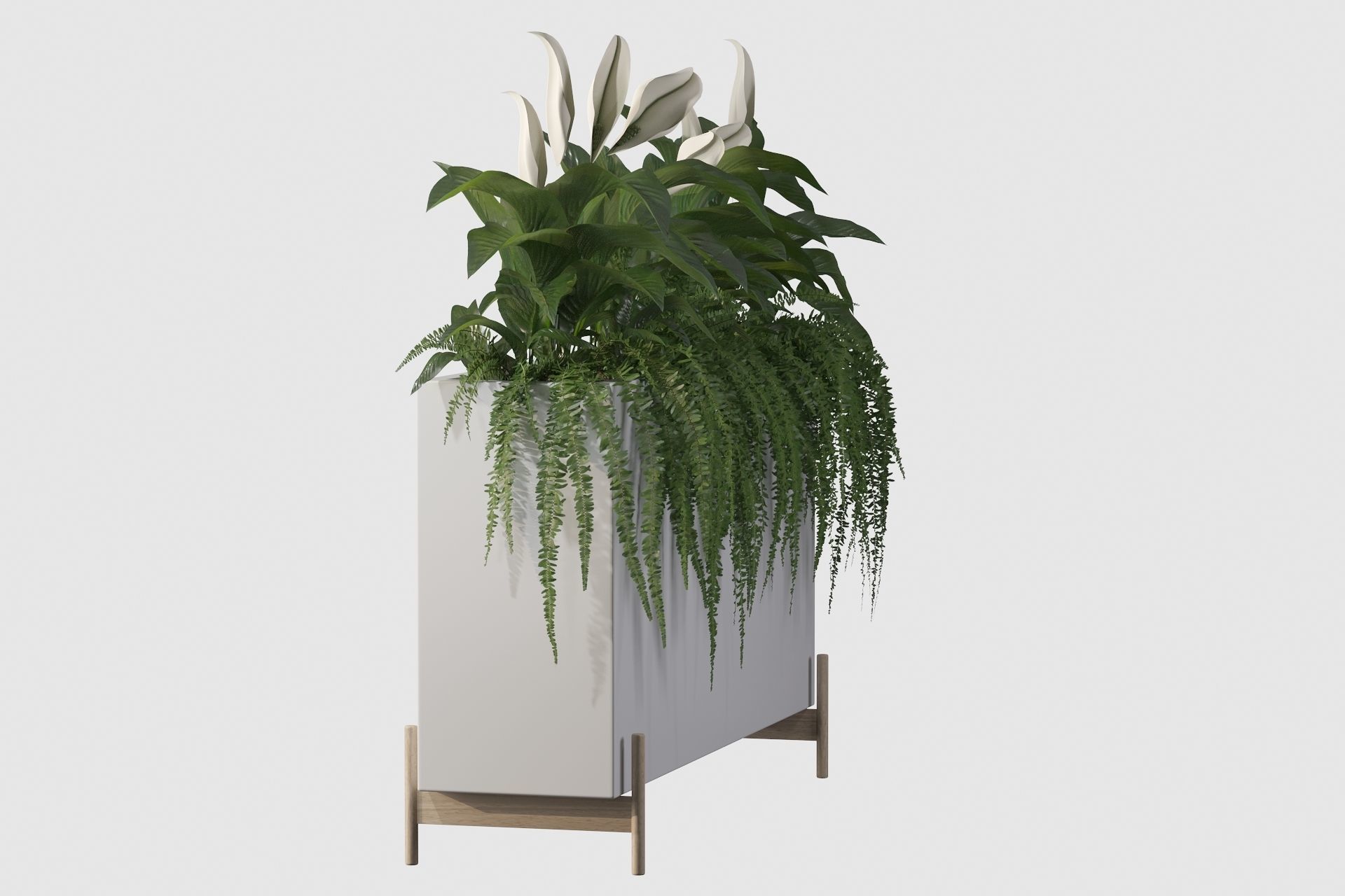 office plants 3D model_25