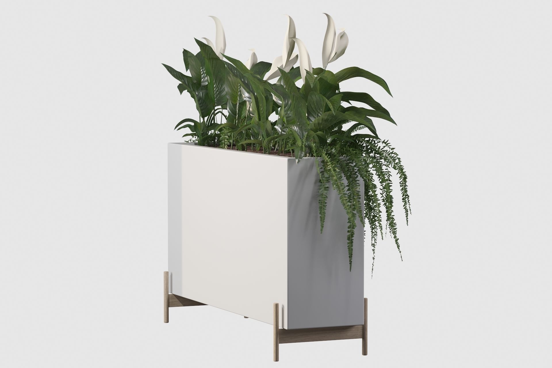 office plants 3D model_31