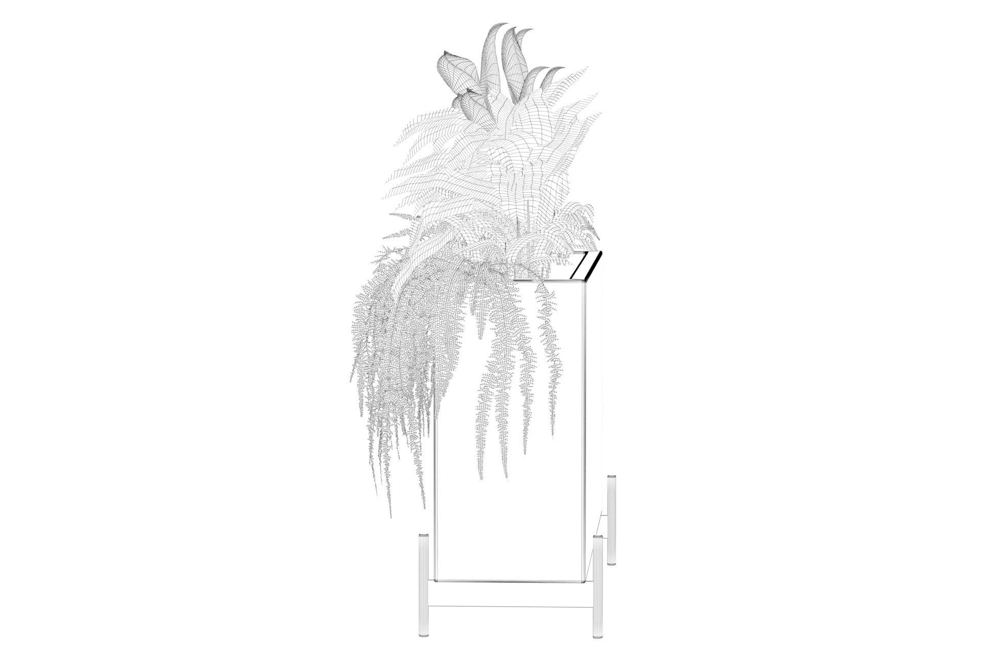 office plants 3D model_60