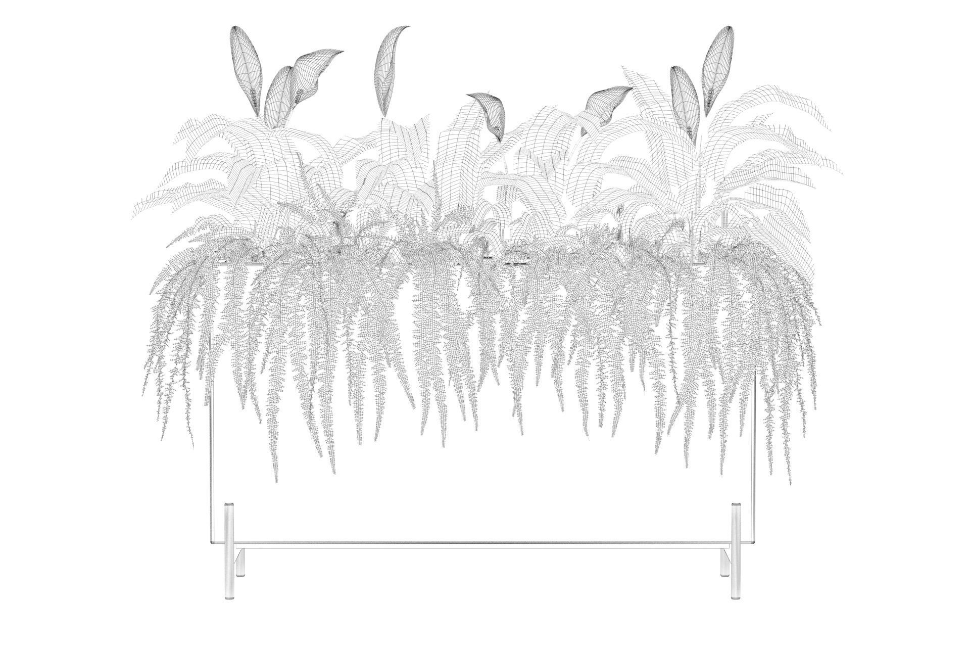 office plants 3D model_59