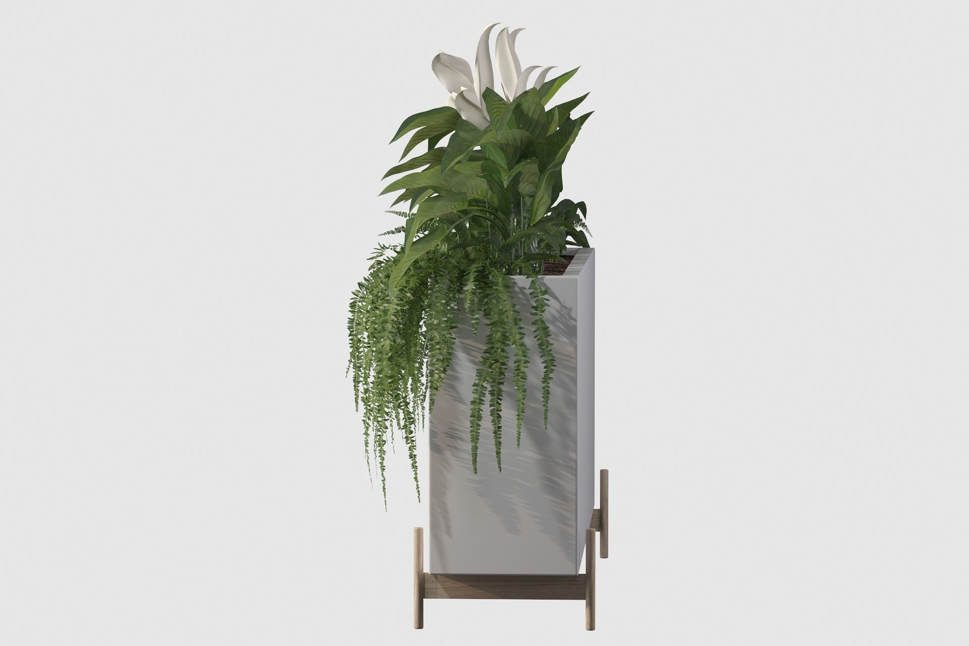 office plants 3D model_33