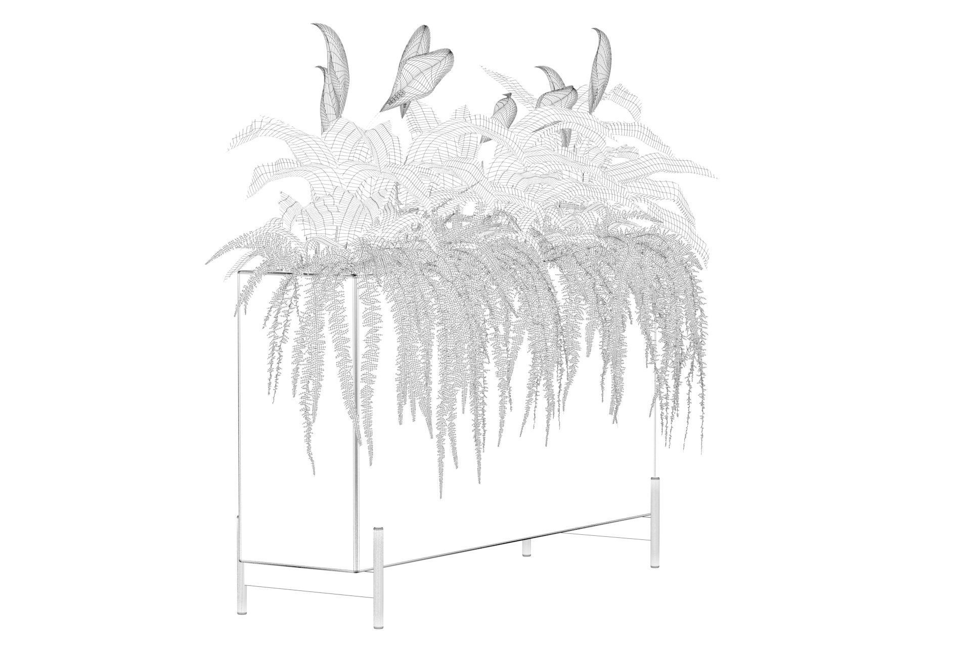 office plants 3D model_50