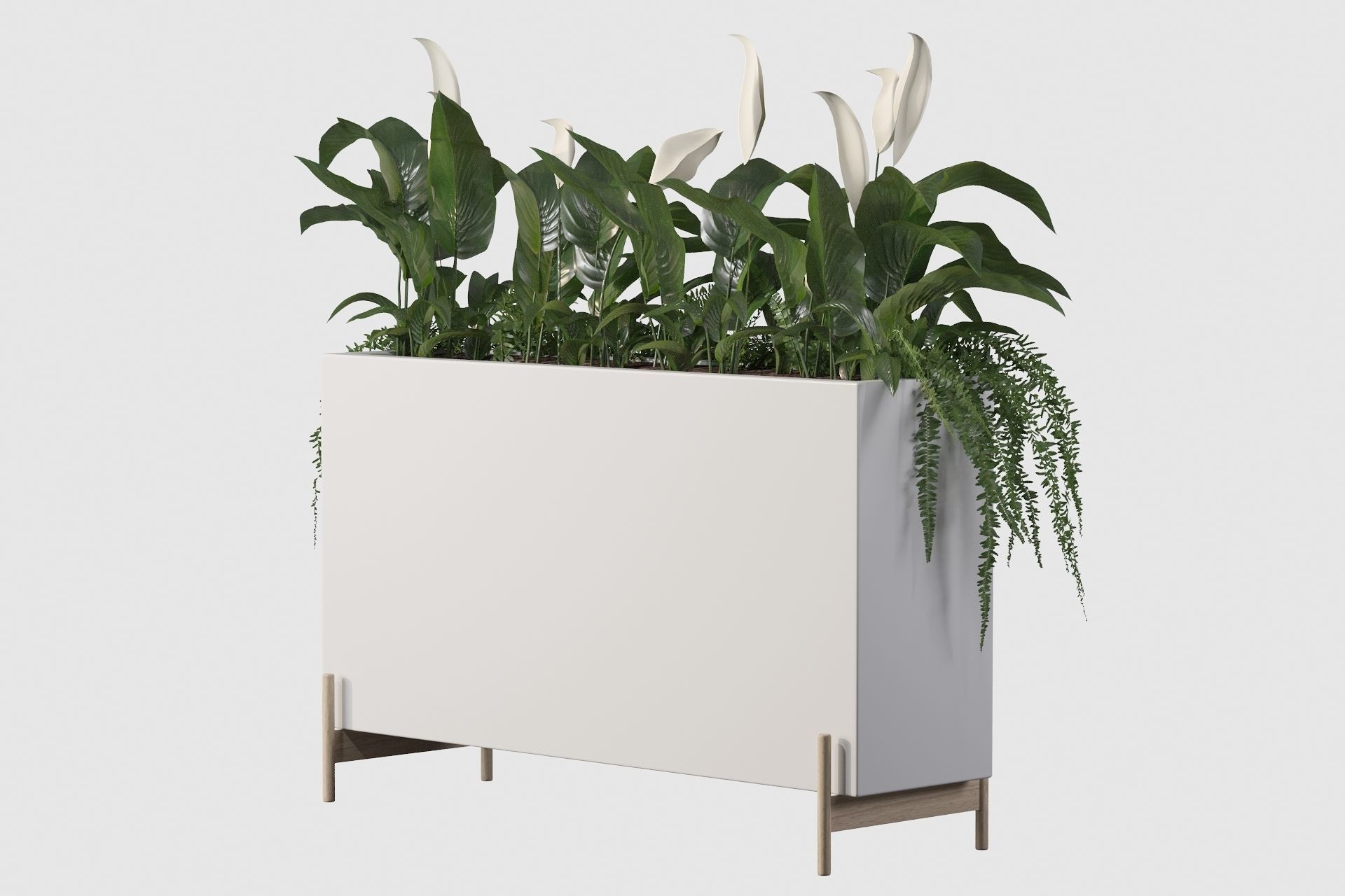 office plants 3D model_30