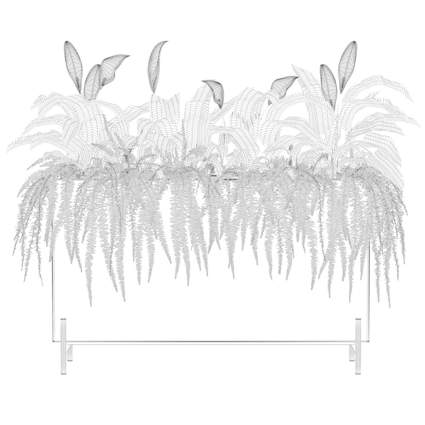 office plants 3D model_1