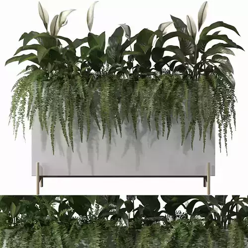 office plants 3D model
