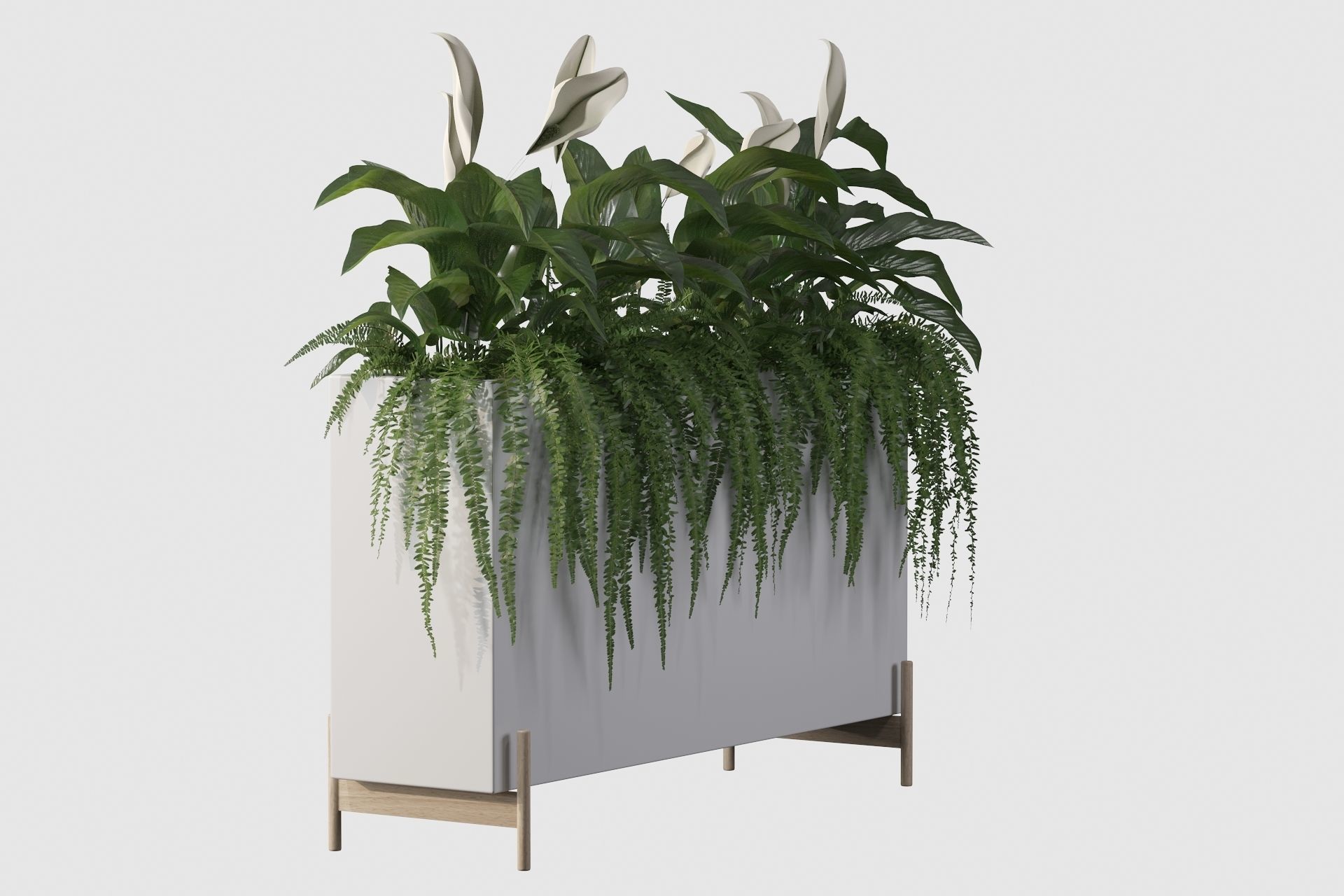 office plants 3D model_24