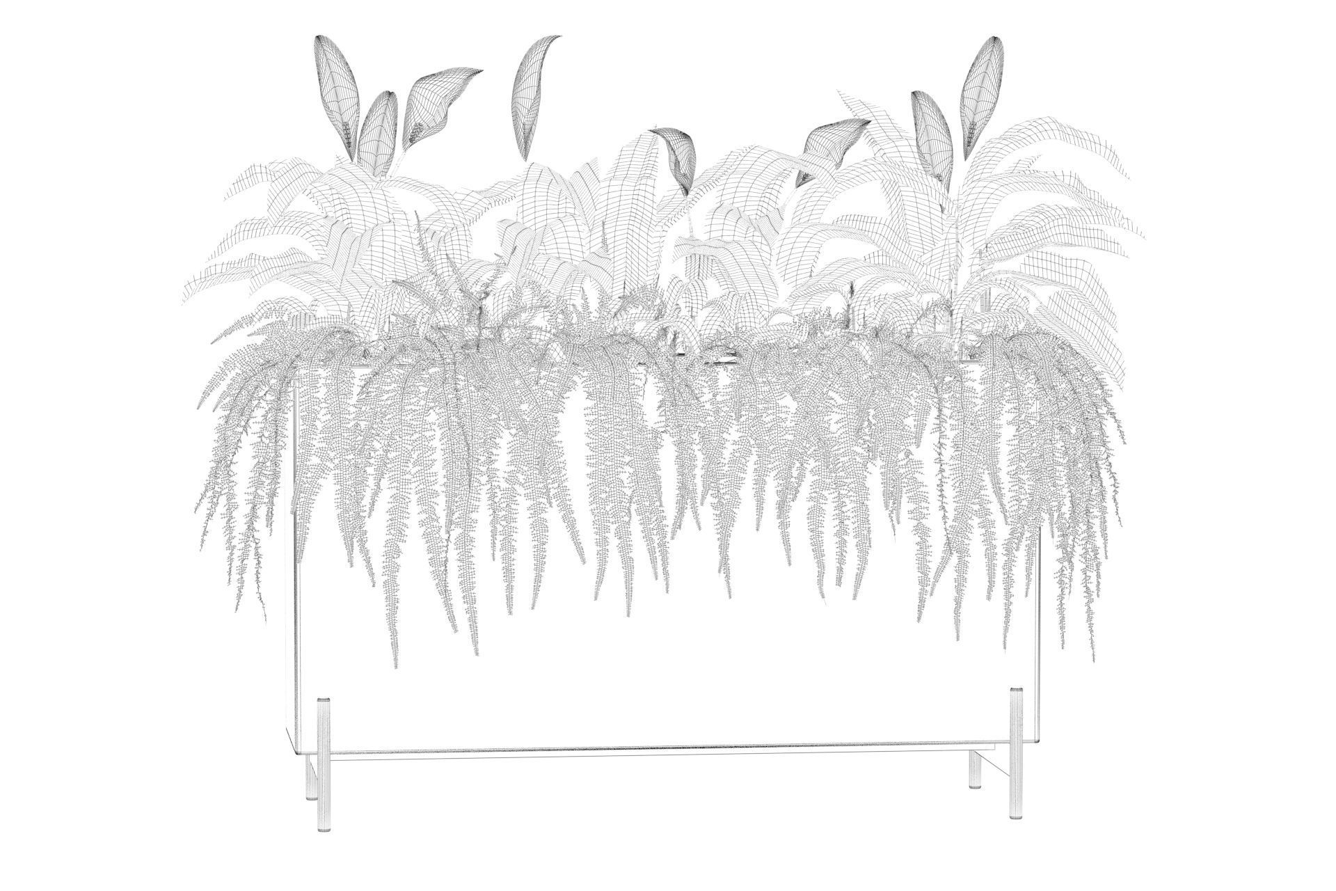 office plants 3D model_5
