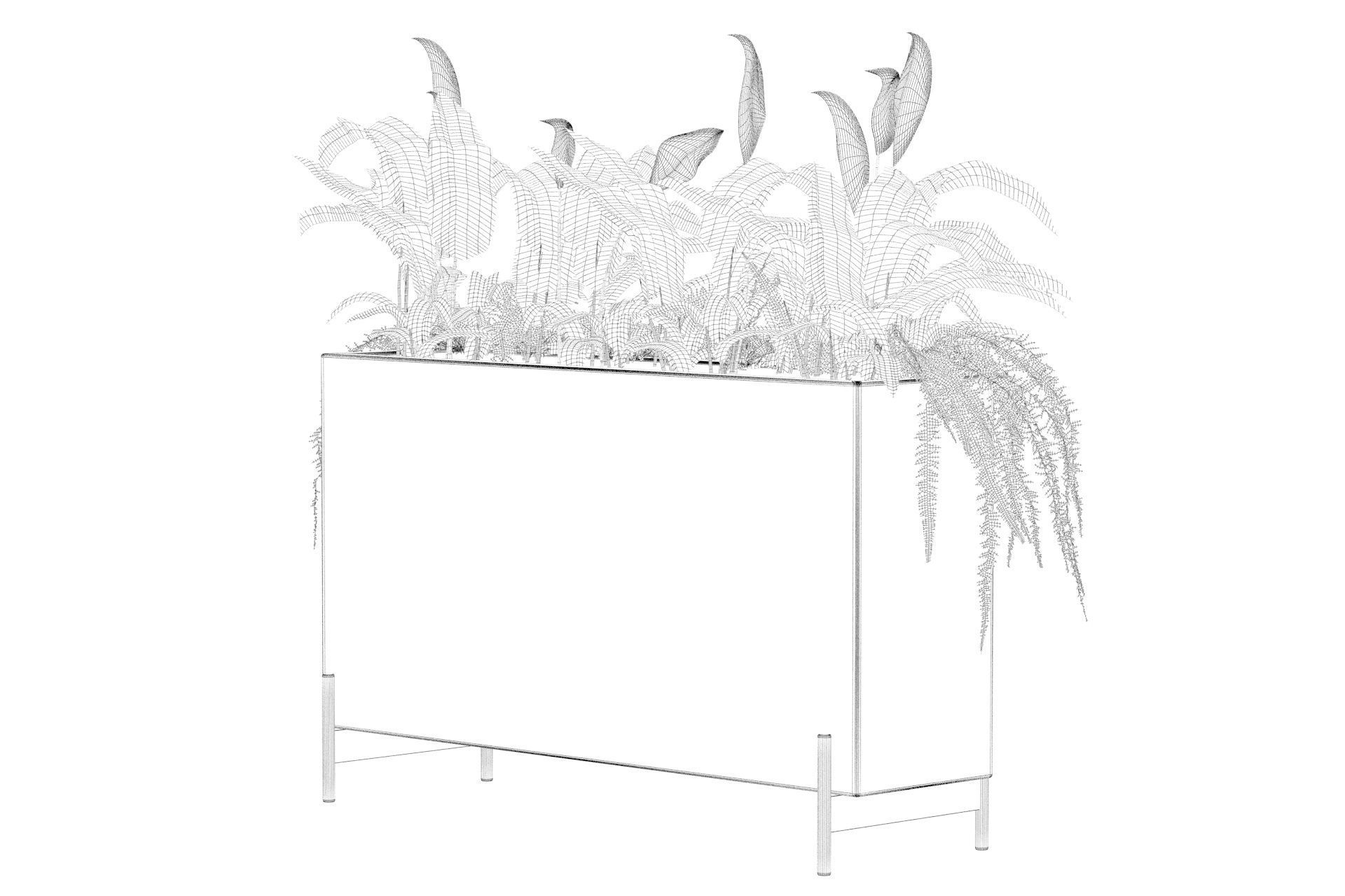 office plants 3D model_51