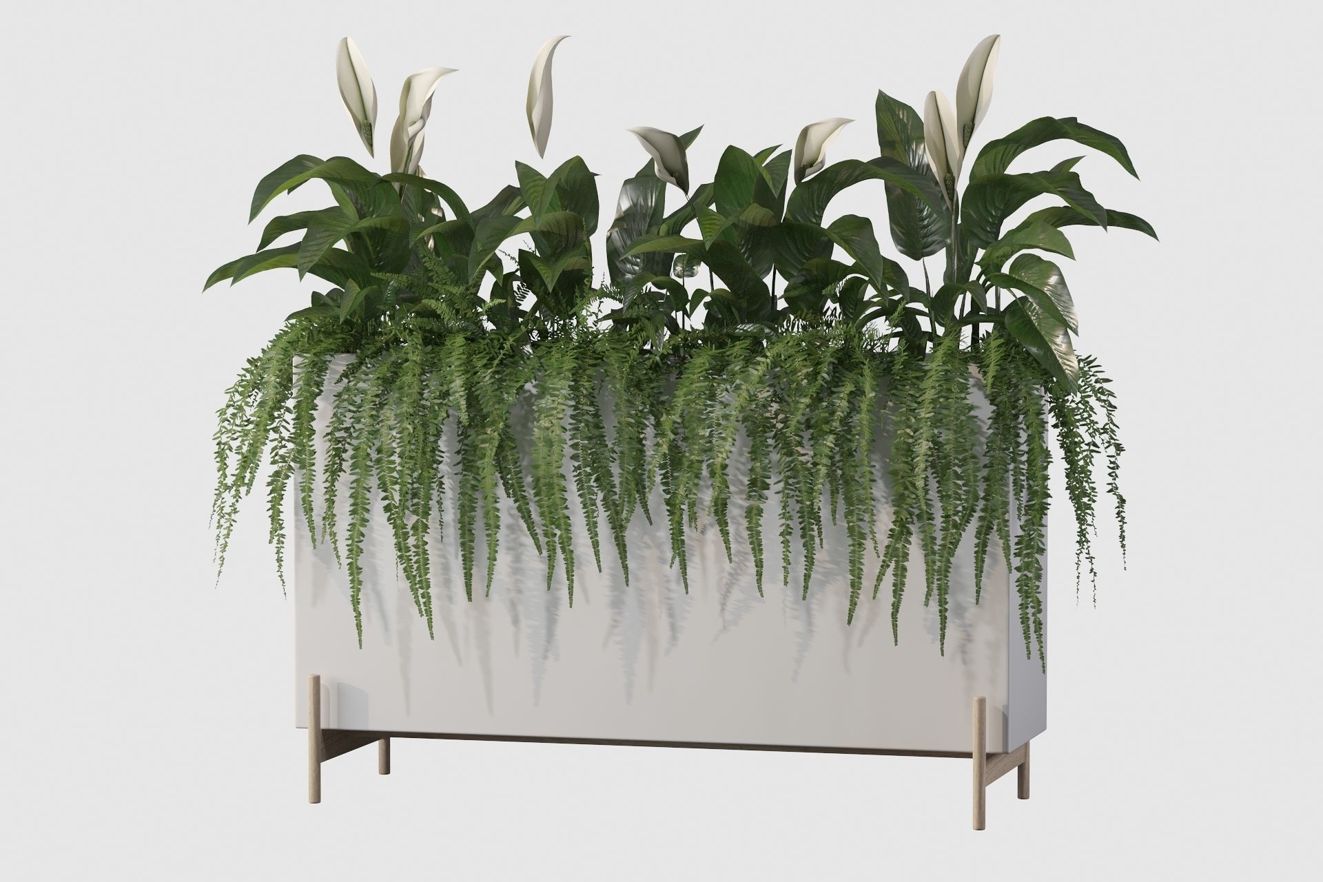 office plants 3D model_36