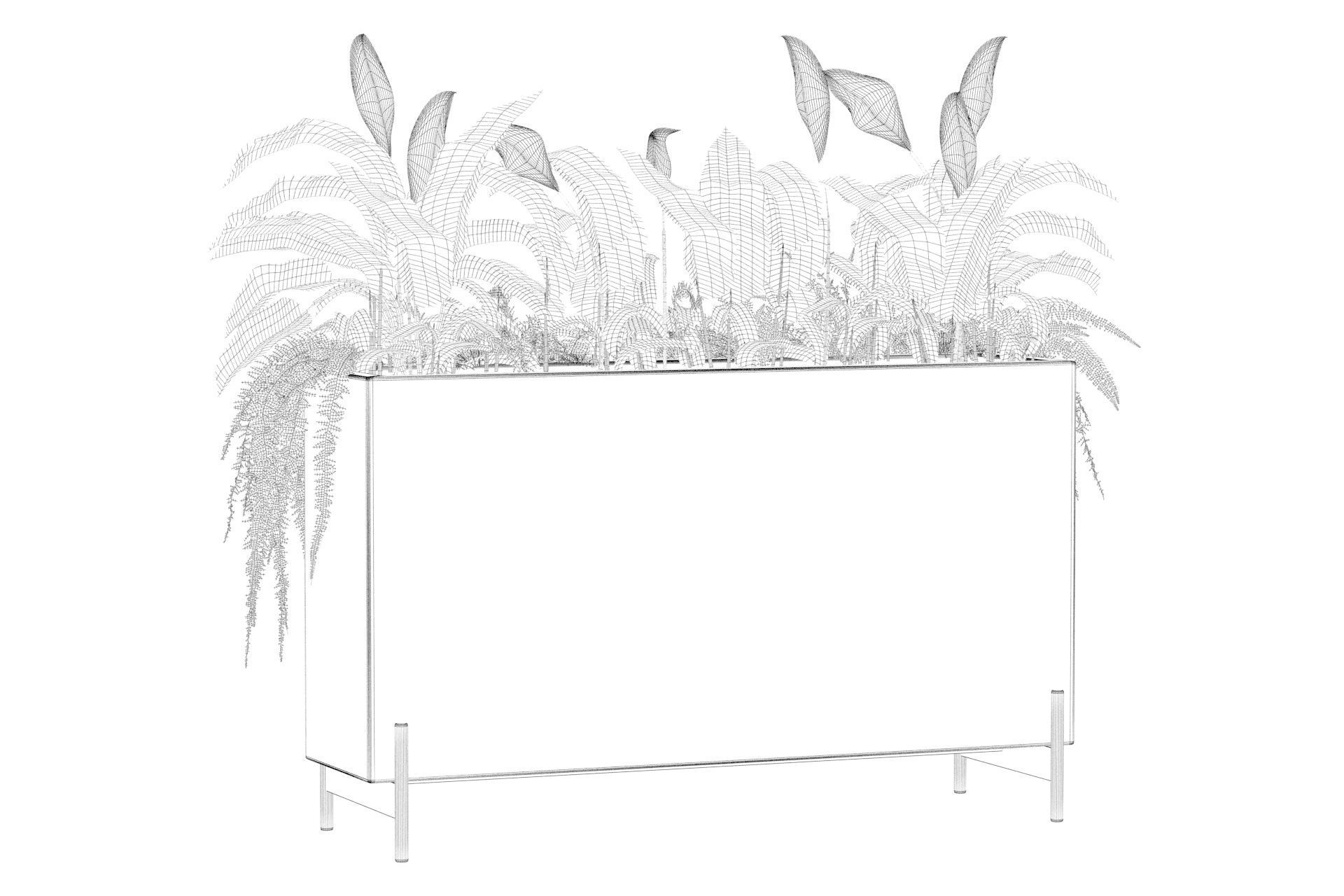 office plants 3D model_58
