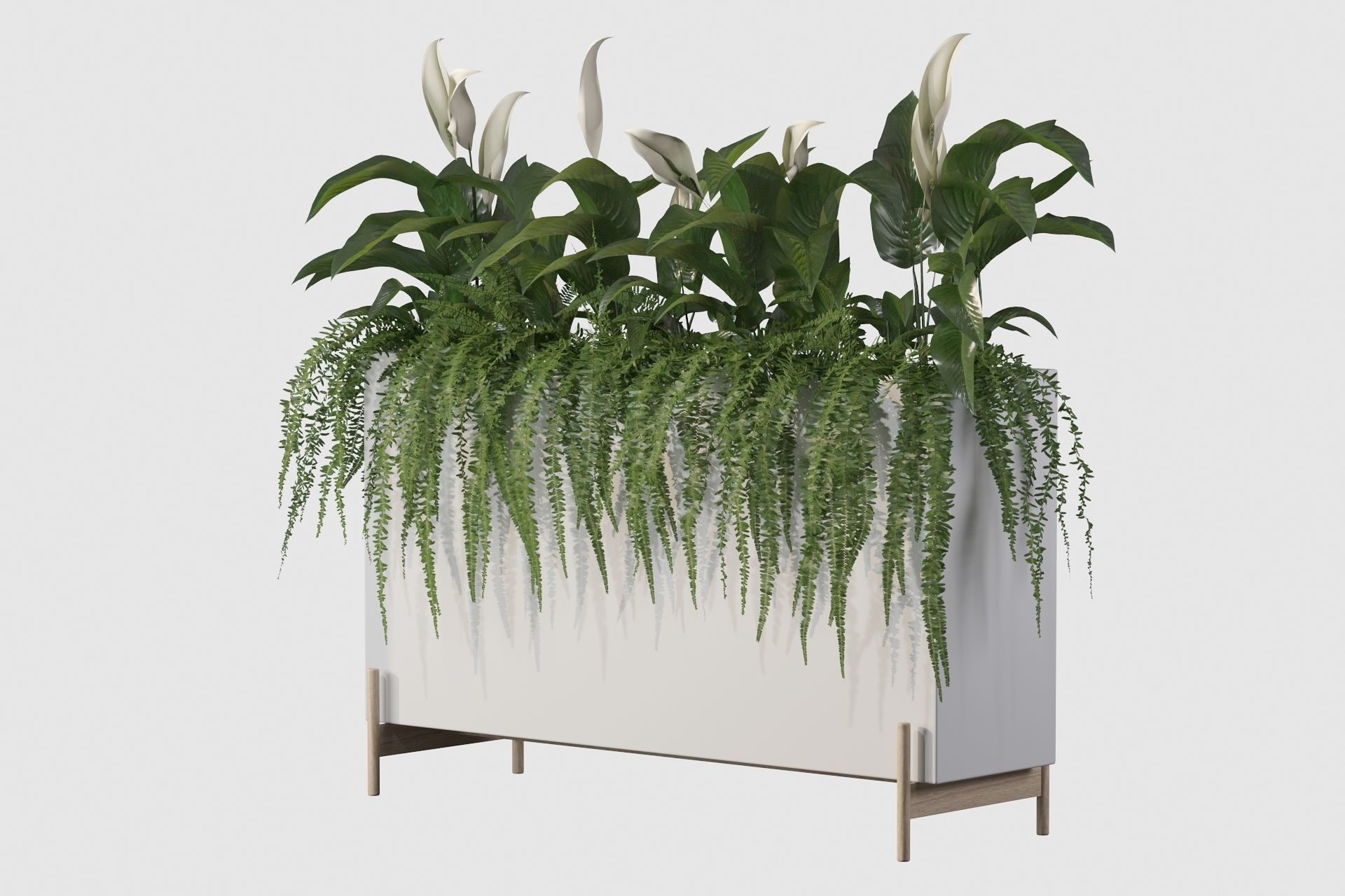 office plants 3D model_35