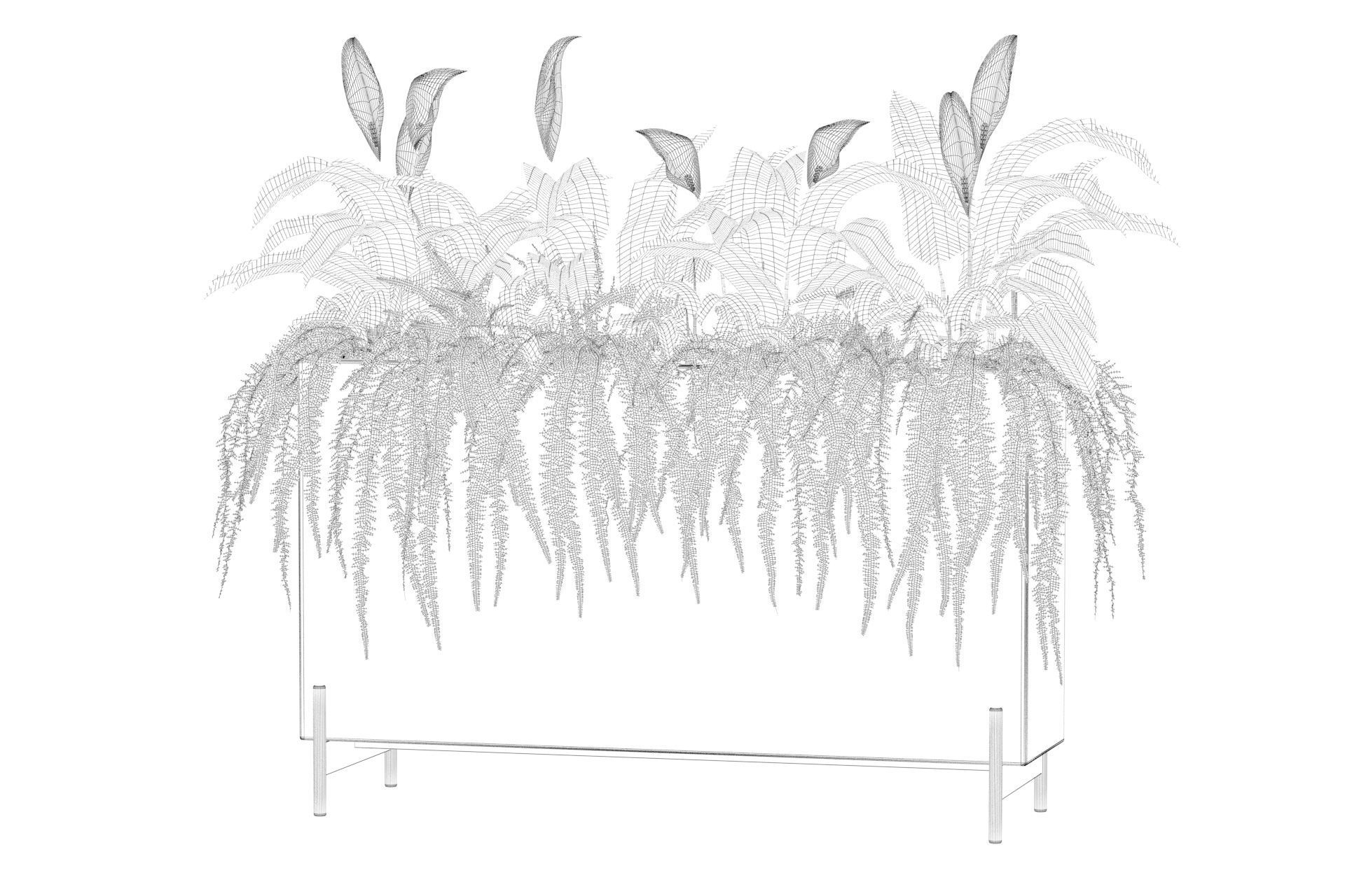 office plants 3D model_67