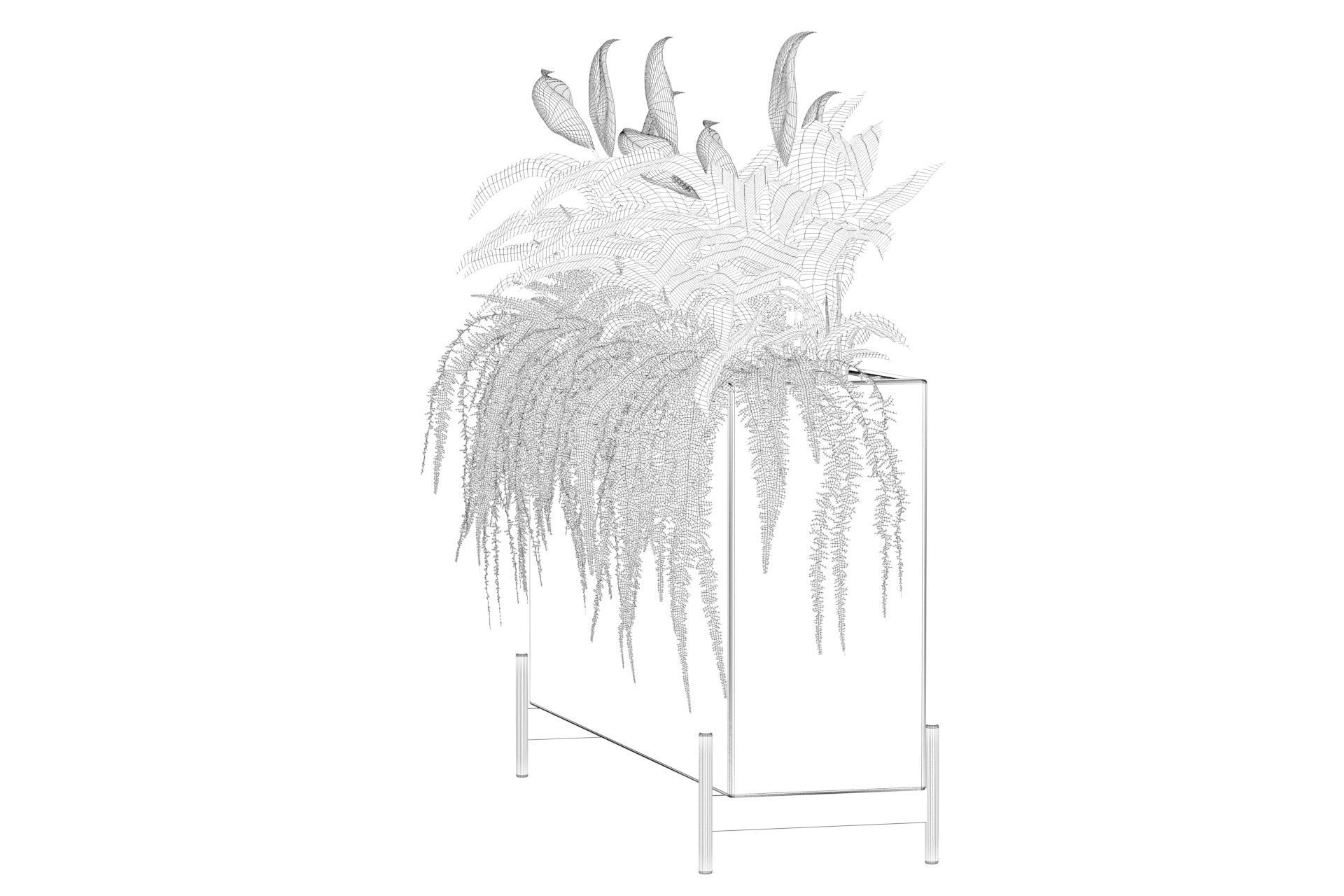 office plants 3D model_61