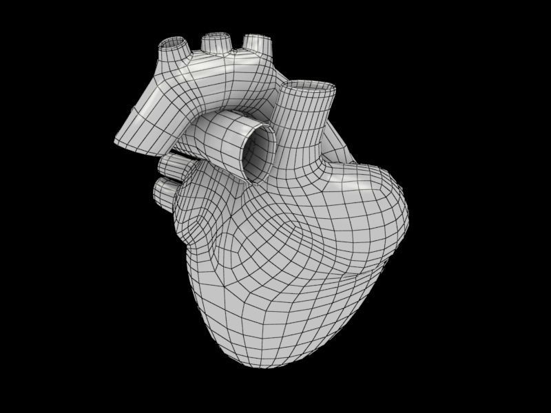 3D human Heart Low-poly 3D model_6