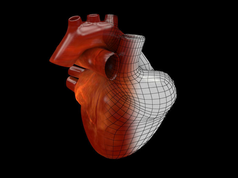 3D human Heart Low-poly 3D model_9