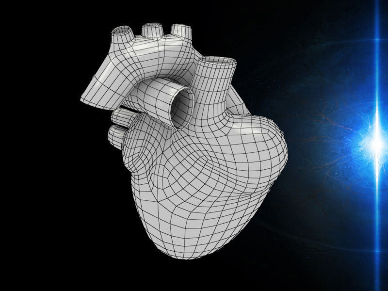 3D human Heart Low-poly 3D model_3