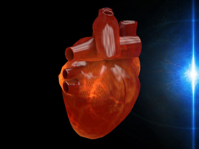3D human Heart Low-poly 3D model_1