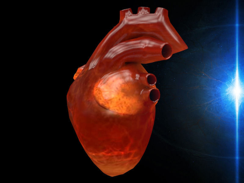 3D human Heart Low-poly 3D model_2