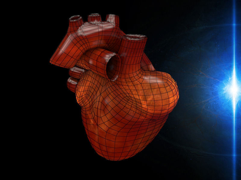 3D human Heart Low-poly 3D model_5