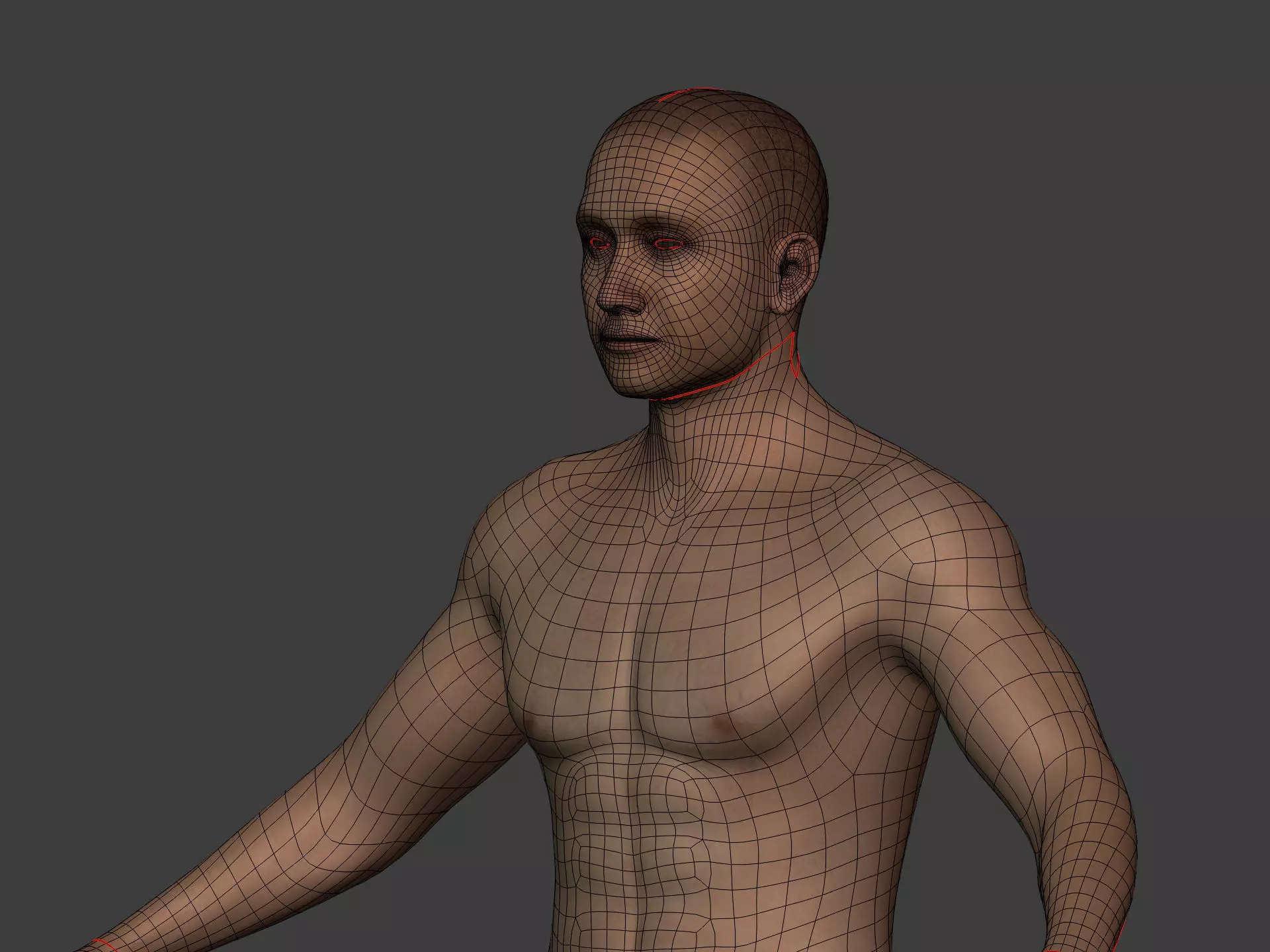 Human Skeleton - Body -- Hand Foot Spine Skull Teeth Tailbone Low-poly 3D model_10