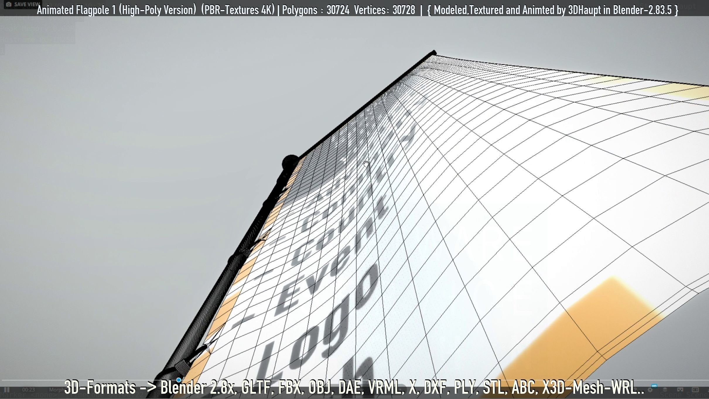 Animated Flag with Pole -1- High-Poly Version 3D model_32