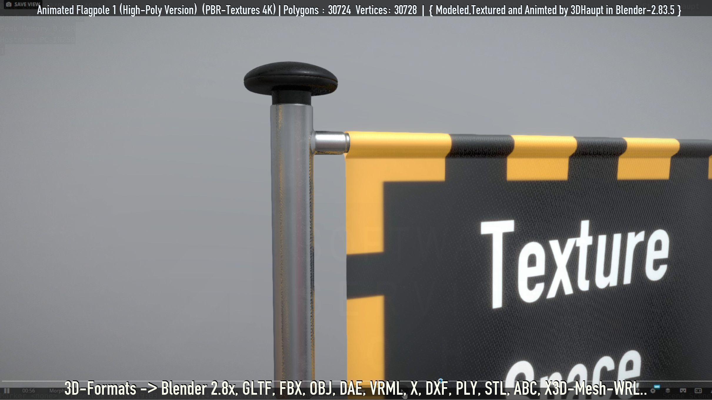 Animated Flag with Pole -1- High-Poly Version 3D model_44