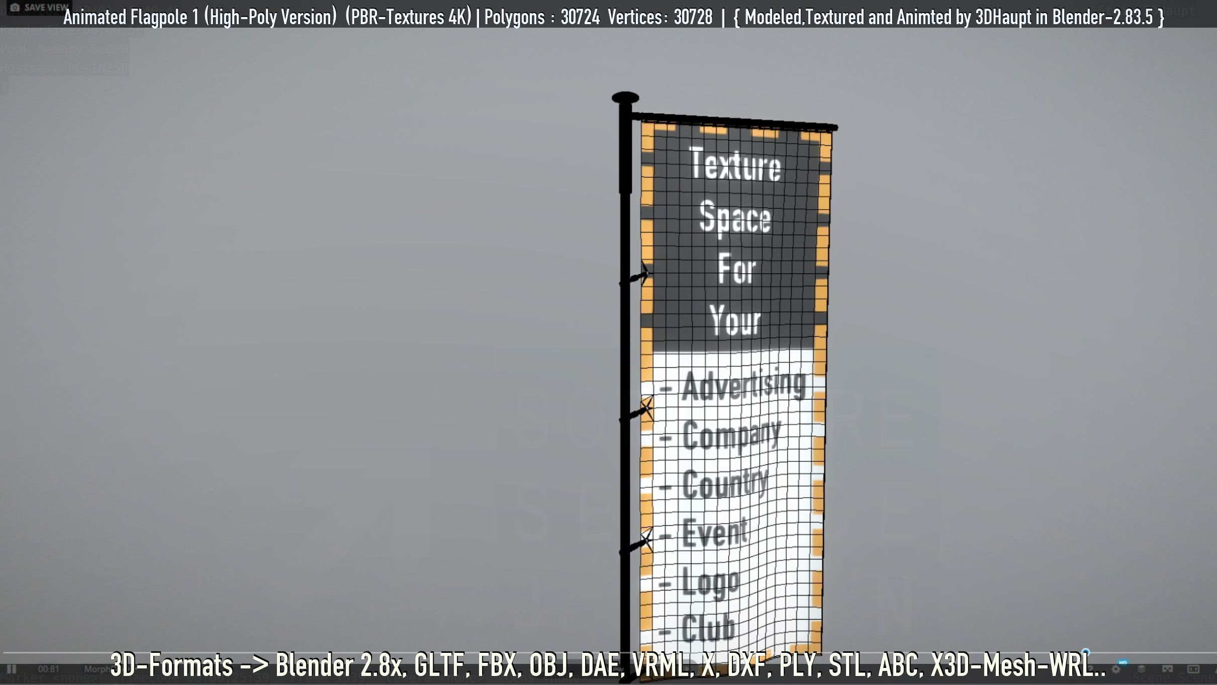 Animated Flag with Pole -1- High-Poly Version 3D model_16