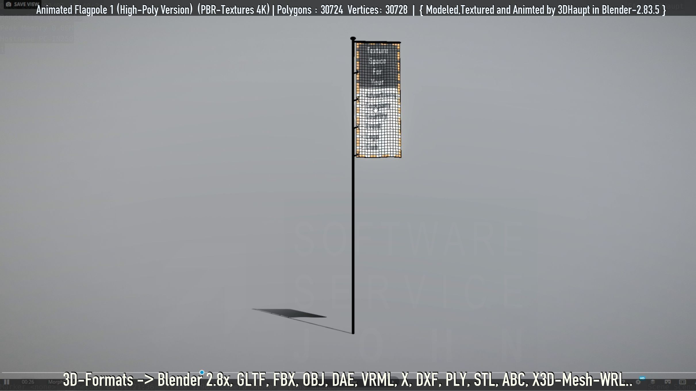 Animated Flag with Pole -1- High-Poly Version 3D model_66