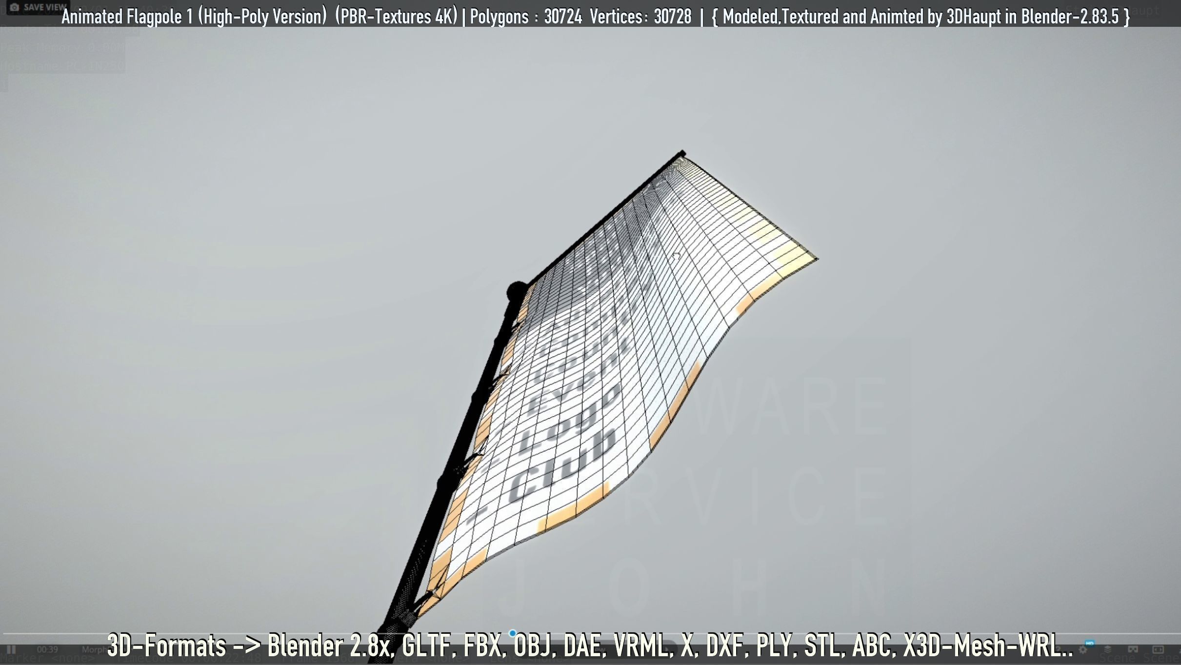 Animated Flag with Pole -1- High-Poly Version 3D model_59