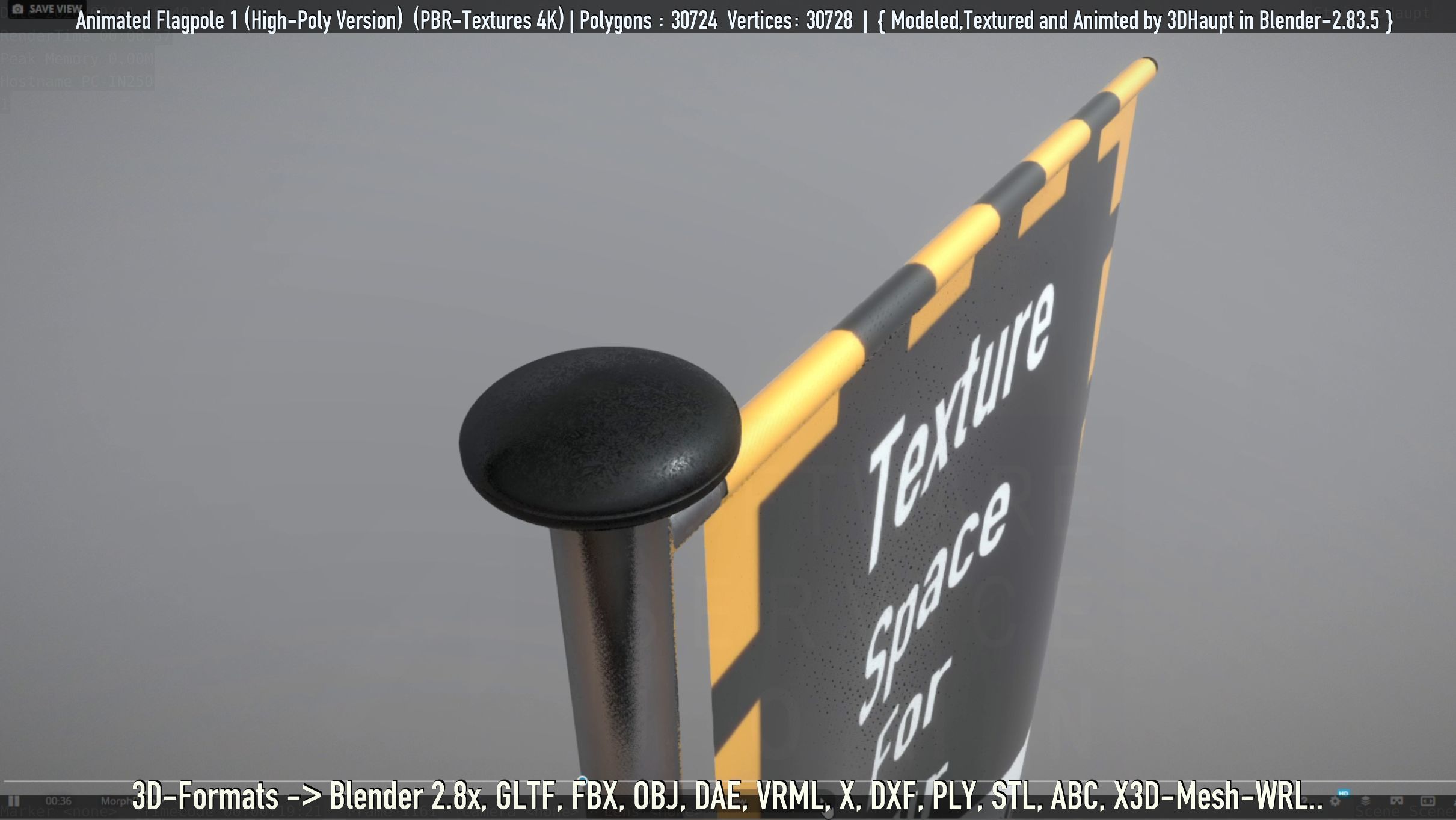 Animated Flag with Pole -1- High-Poly Version 3D model_26