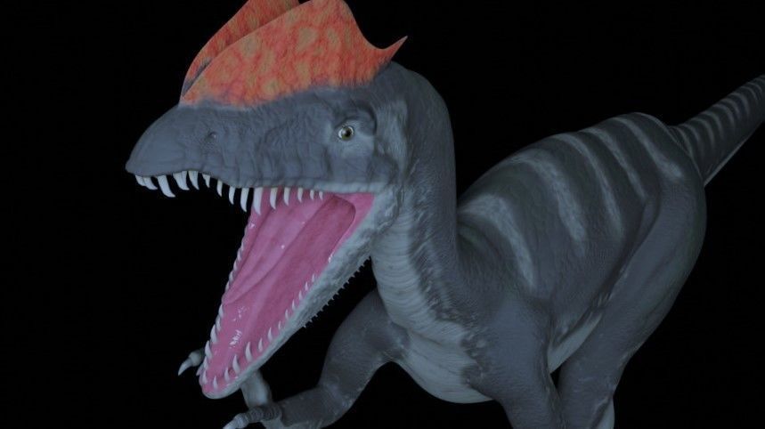 Dilohosaurus dinosaur 3D model_1