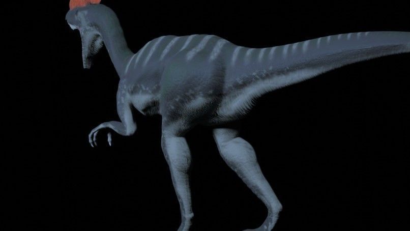 Dilohosaurus dinosaur 3D model_2