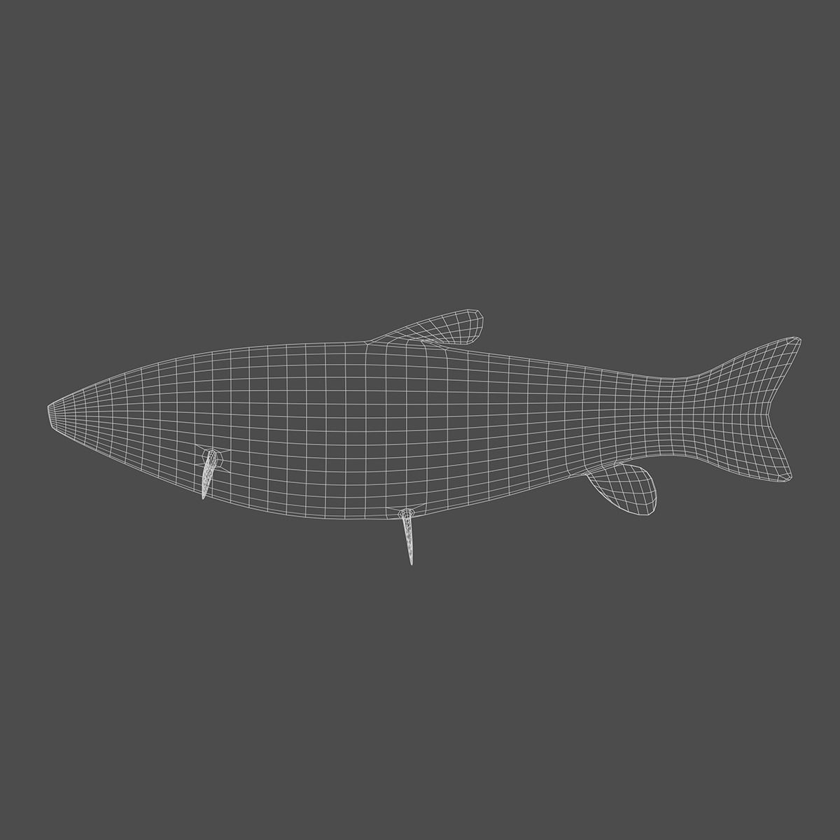 Grass Carp Animated Model Low-poly 3D model_6