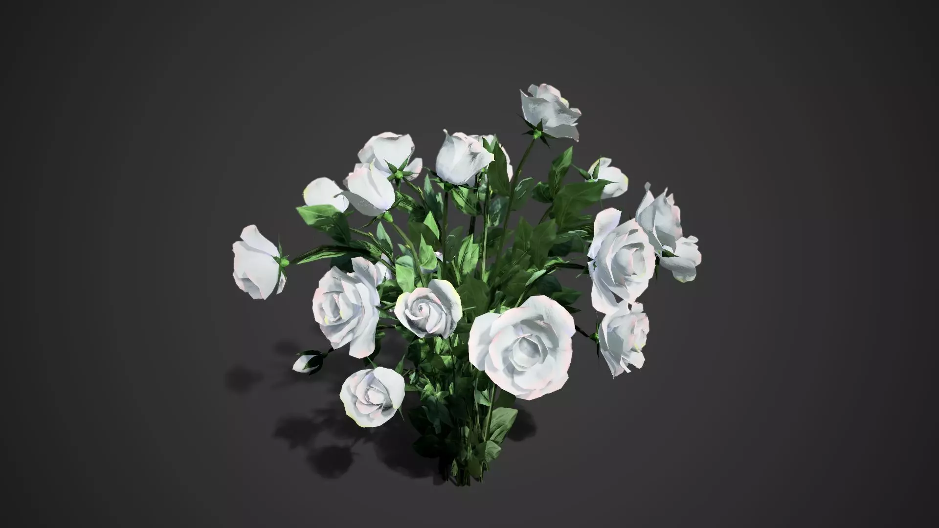 Rose flowers bush white LOD Low-poly 3D model