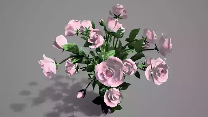 Rose flowers bush pink LOD