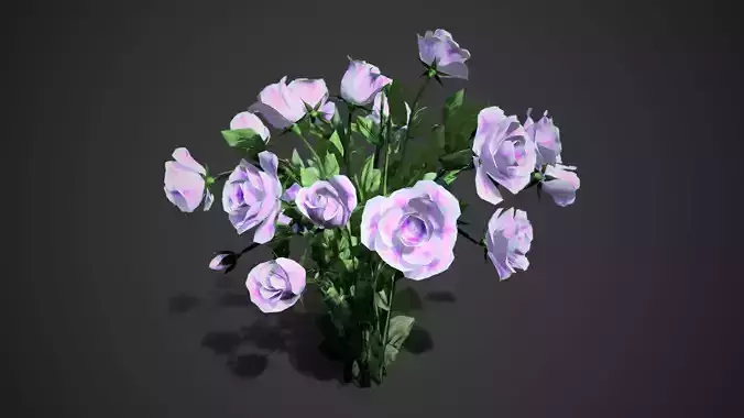 Rose flowers bush perple LOD