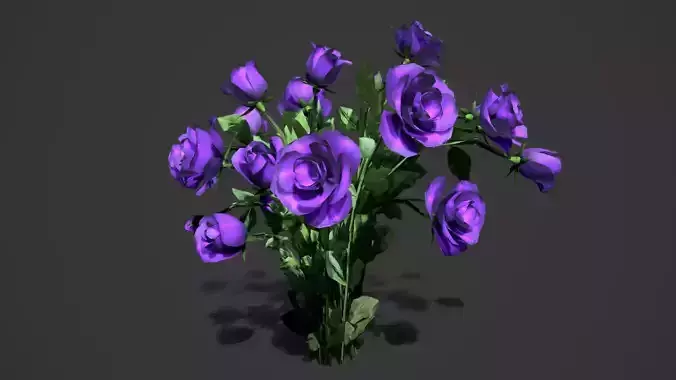 Rose flowers bush dark perple LOD