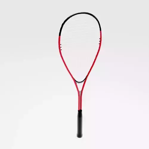 Squash Racquet 3D model