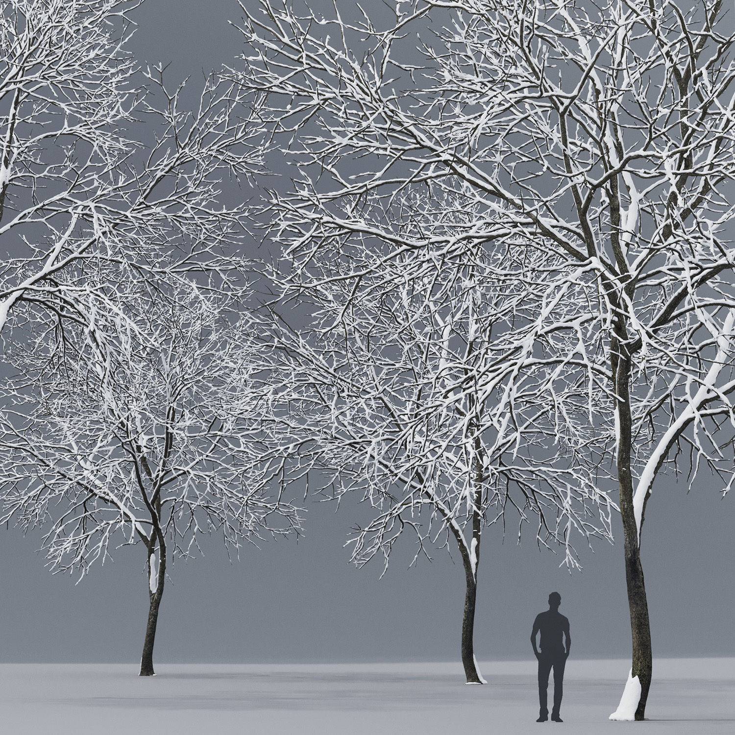 Ash-tree 01 winter 3D model_1