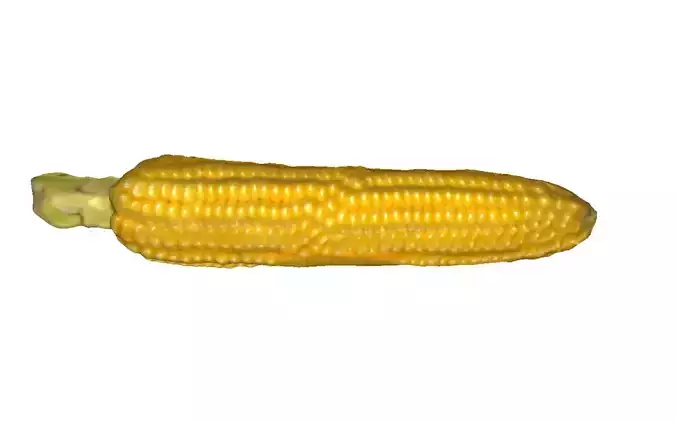 Yellow Corn