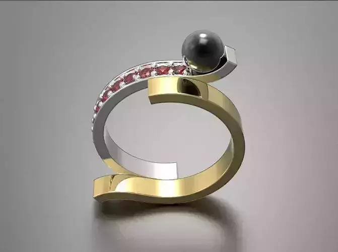 ring with two parts